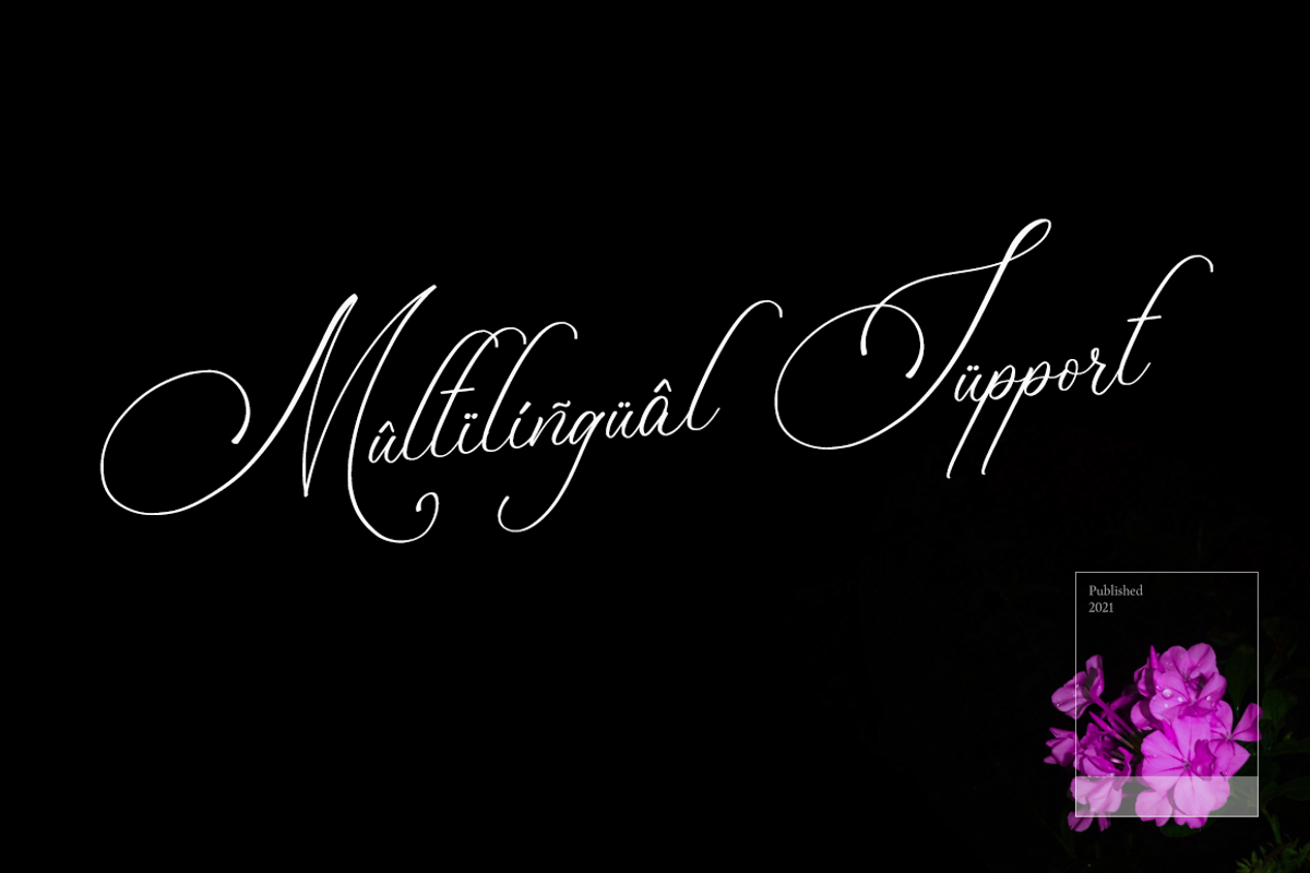 Bulvaryante - Romantic Calligraphy, a Script Font by RockboyStd (Photo 8 of 12)