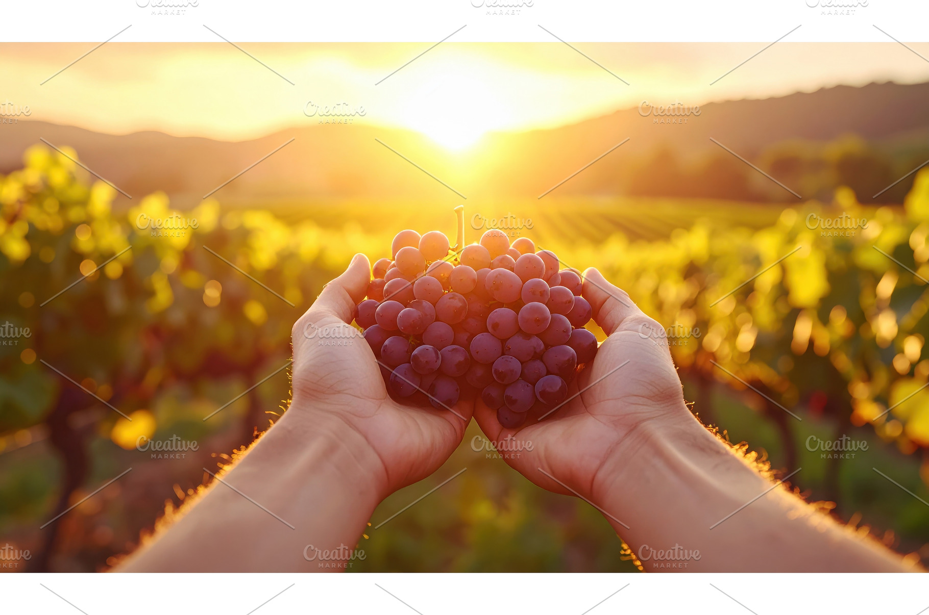 Pair of hands presenting large, a Food & Drink Photo by Igor Tichonow