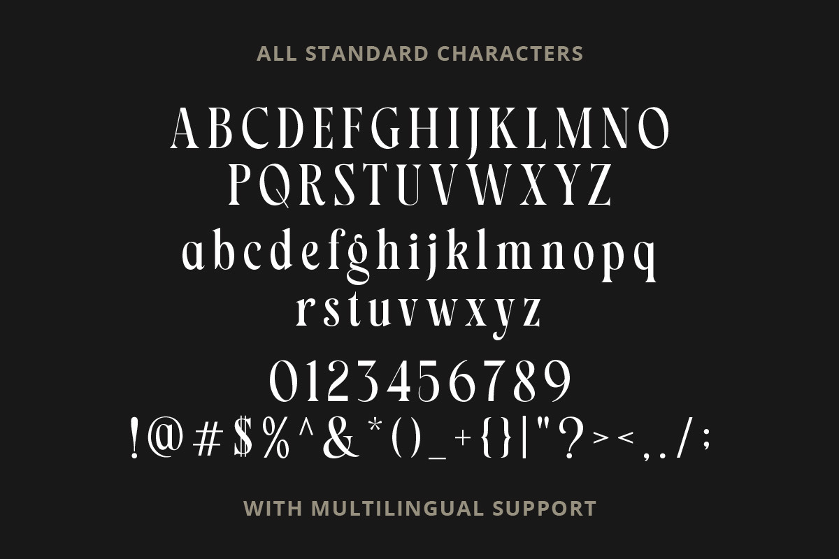 Markstyle Stylish Serif, a Serif Font by Letterhend Studio (Photo 9 of 9)