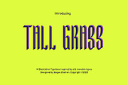 Tall Grass, a Blackletter Font by Rinjanibagaz (Thumbnail 2 of 5)