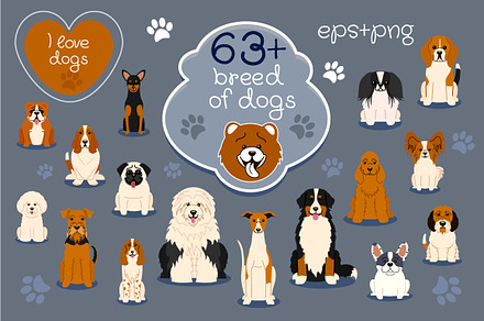 Collection of different dogs