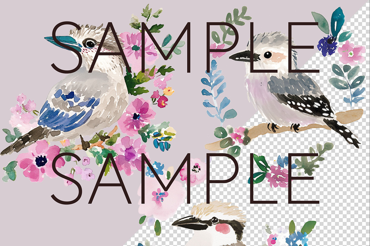 Whimsical Australian Birds Clipart, an Animal Illustration by Pawcasso's Portraits (Photo 5 of 7)