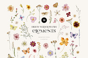 Dried Wildflowers - watercolor flora, an Illustration by SunnyAfternoons (Thumbnail 10 of 15)