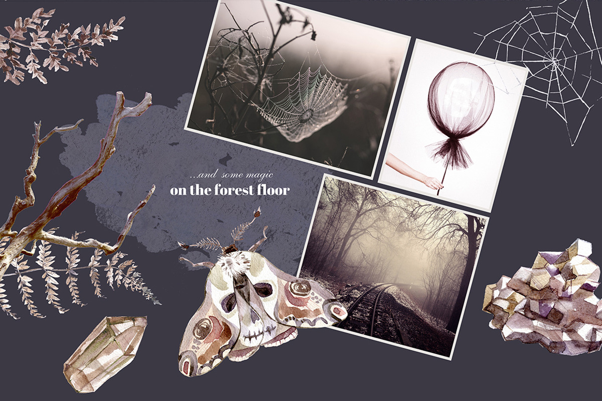 Mystical Wilds. Watercolor set., an Object Graphic by Dinkoobraz (Photo 5 of 10)
