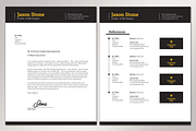 Professional Resume/CV, a Resume Template by FDwight (Thumbnail 3 of 3)