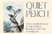 CS Asena Stitched, a Serif Font by Craft Supply Co. (Thumbnail 5 of 8)