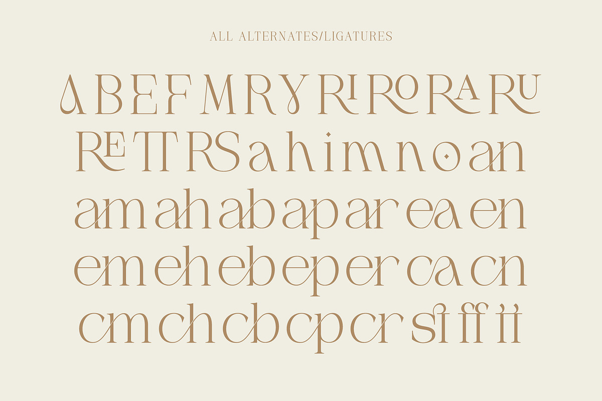Mogerin | Modern Display Serif, a Serif Font by Typoraith Co (Photo 9 of 10)