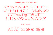 Luis Martinelli - Two Fonts Beauty, a Serif Font by AleraStudio (Thumbnail 8 of 10)