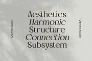 Vlatcho - Elegant Refined Serif, a Serif Font by Qweera Studio (Thumbnail 6 of 12)