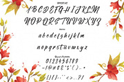 Secret Admirer, a Script Font by da_only_aan (Thumbnail 2 of 5)
