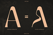 Display Sans Serif - Erhofa, a Sans Serif Font by Font Liner (Thumbnail 4 of 10)