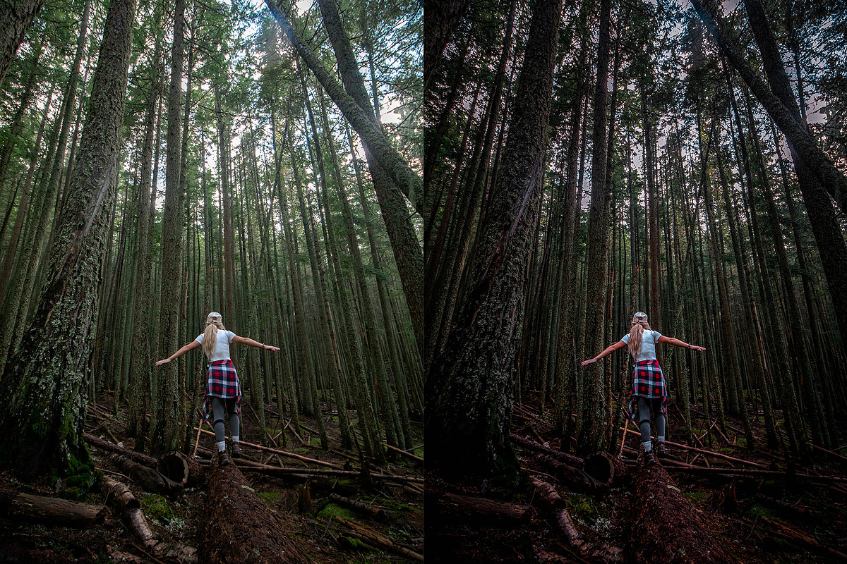Crisp Adobe Lightroom Preset, a Preset Add-On by Voleshads (Photo 7 of 12)