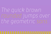 Iconic - 30 fonts, a Sans Serif Font by Zetafonts (Thumbnail 12 of 17)