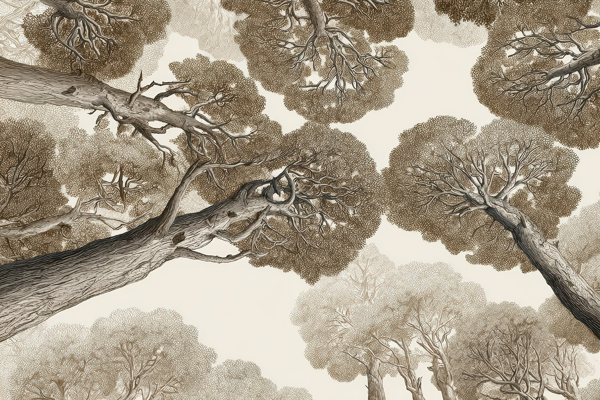 Tree canopy forest mural Wallpaper, a Decorative Illustration by Virgo Studio