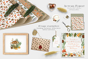 Fall forest mushrooms clipart, an Illustration by Ksenia Shmakova (Thumbnail 2 of 11)