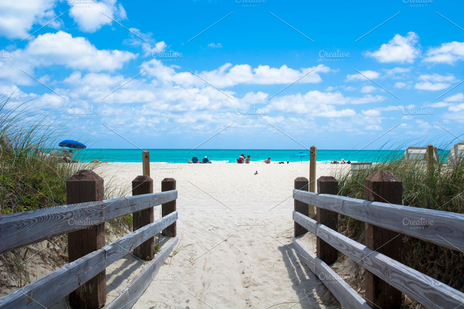 The Beach Side Featuring Beach Miami And Girl