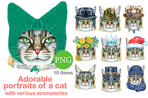 Portraits of Maine Coon cat, an Animal Illustration by Watercolor fantasy