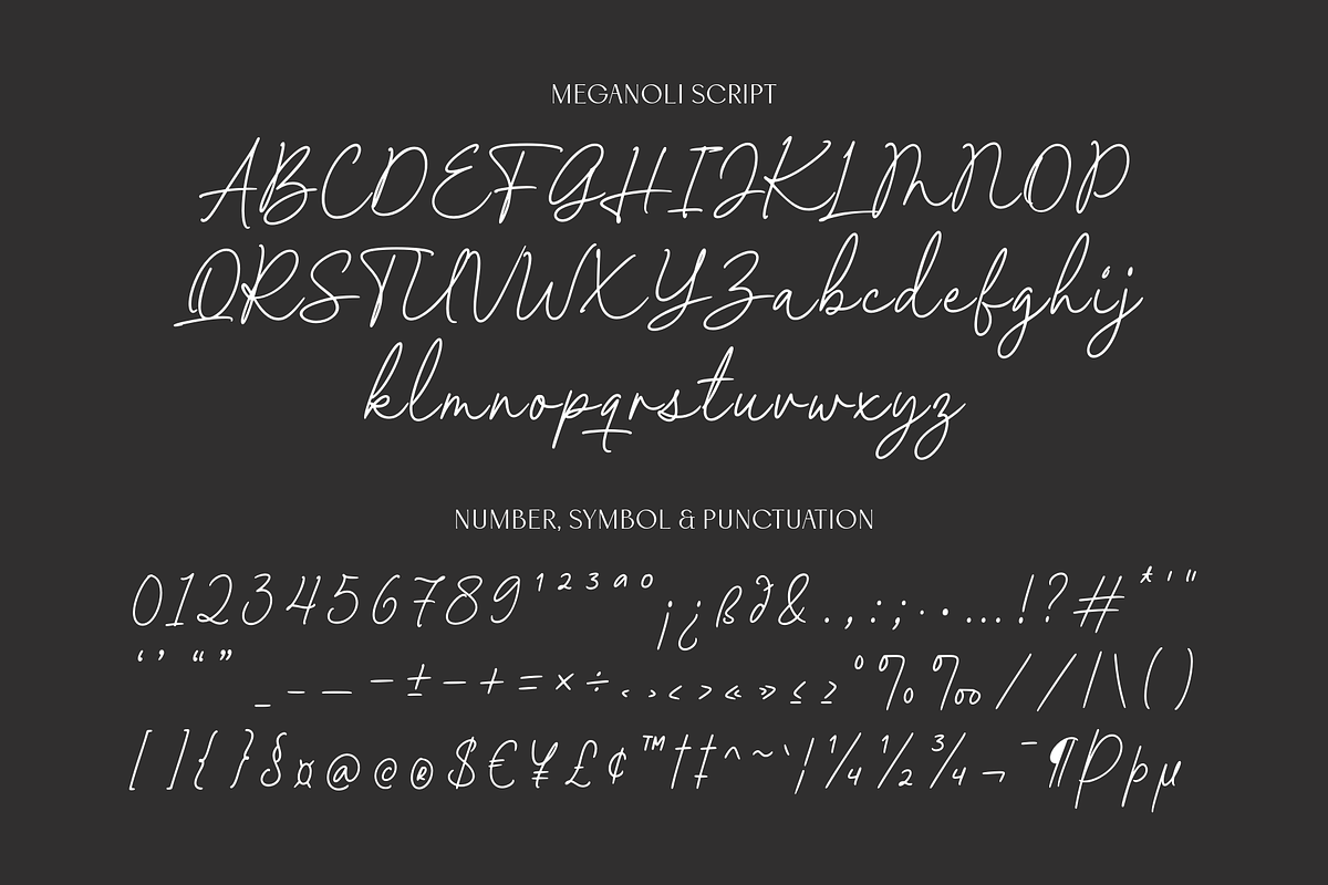 Meganoli - A Modern Font Duo, a Sans Serif Font by Ainun Jinan (Photo 13 of 13)