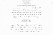 Script font Wild Love logos, a Script Font by Angele Kamp (Thumbnail 14 of 15)