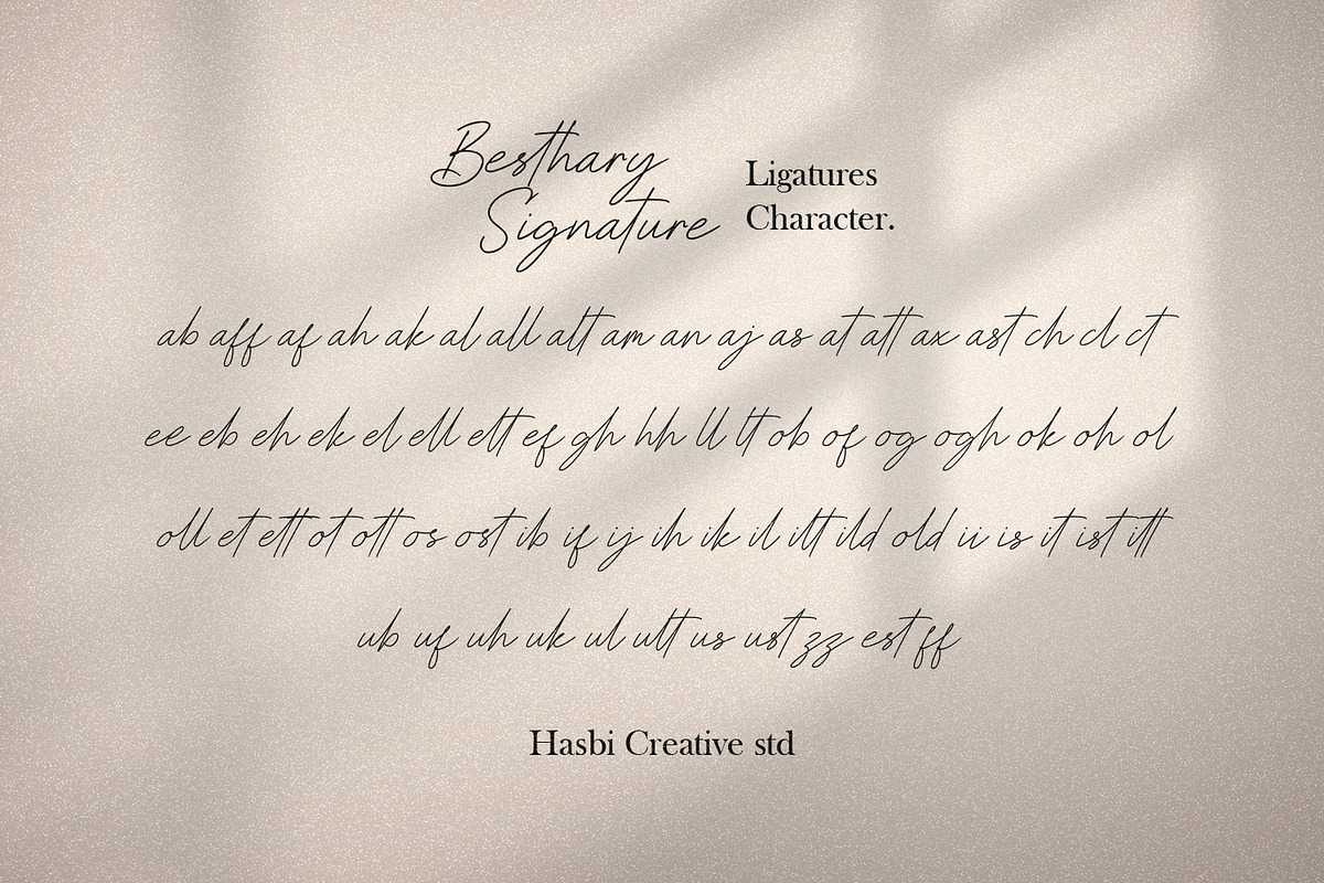 Besthary - Signature, a Handwritten Font by Hasbi Creative (Photo 14 of 14)
