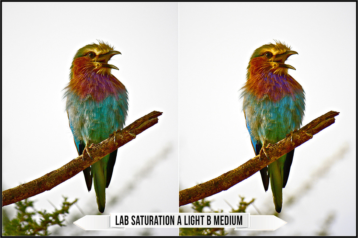 LAB Color Vol. 3 - Lab Variations preview 4