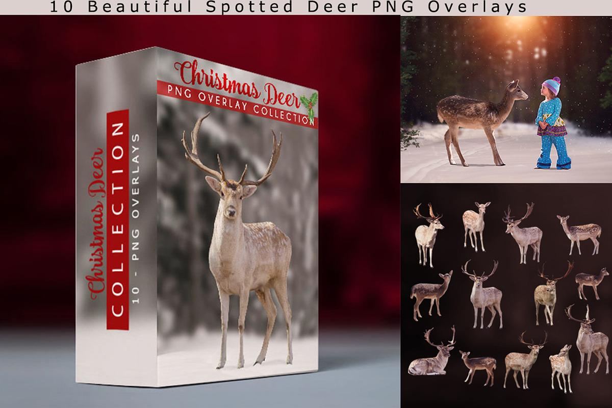 10 - Christmas Deer PNG Overlays, an Object Graphic by DareToDream (Photo 1 of 4)