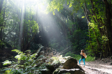 woman receiving the sun rays on her face in the middle of the jungle, a Nature Photo by MnPousa
