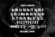 Catalyst - Condensed Sans Serif, a Sans Serif Font by Pian45 Studio (Thumbnail 7 of 8)