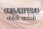 Nebos - Elegant Serif Typeface, a Serif Font by Font Kingdom (Thumbnail 7 of 9)