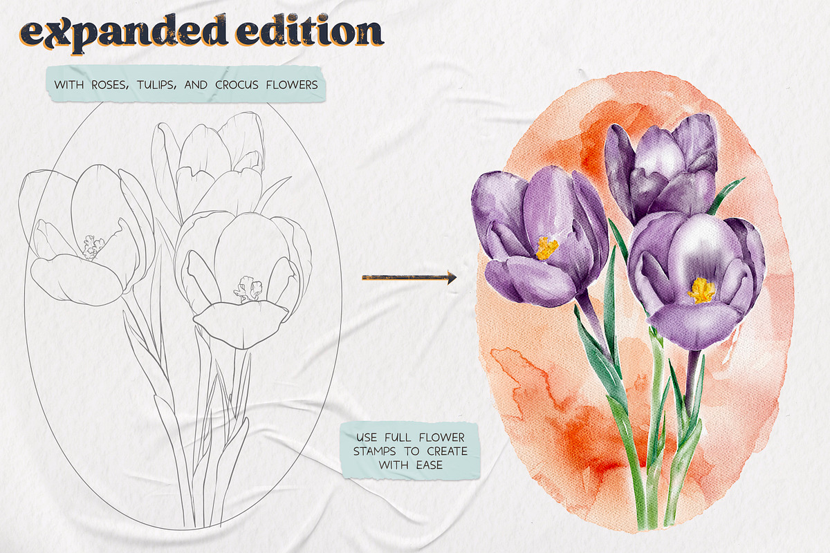 Flower Builder Kit for Affinity, a Brush Add-On by Wooly Pronto (Photo 8 of 11)