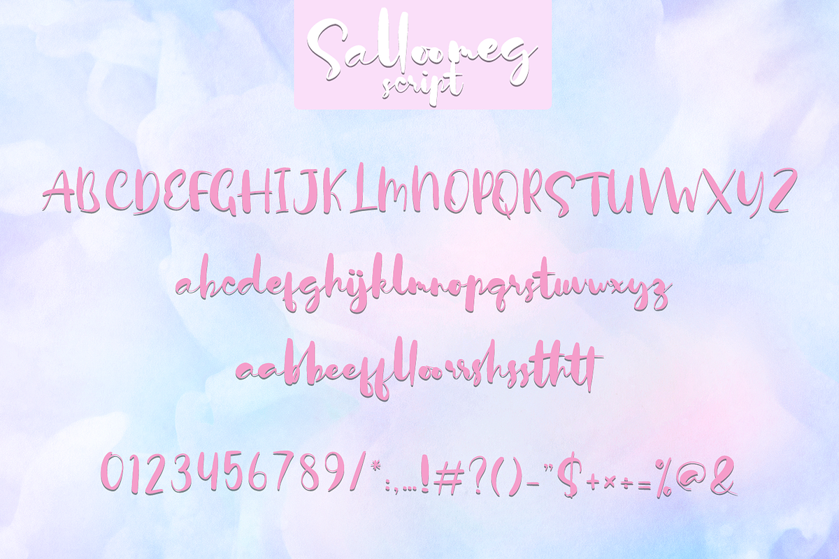 Salloomeg script preview 6