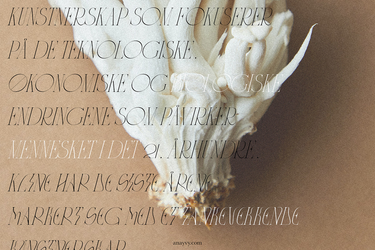CYTRONI Modern Mix Font Duo, a Serif Font by ana & yvy (Photo 26 of 34)