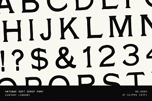 Bold Vintage Serif Font - No.09, a Serif Font by Century Library