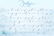 Sadlyne Wedding font + Cyrillic, a Script Font by IraDvilyuk (Thumbnail 17 of 22)