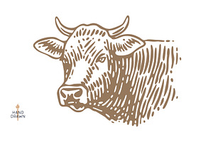 Cow head, bull, beef. Retro style, a Food Illustration by Foxys Graphic
