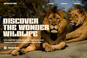 Gotens Bold Condensed Font, a Sans Serif Font by RantautypeStudio (Thumbnail 2 of 15)