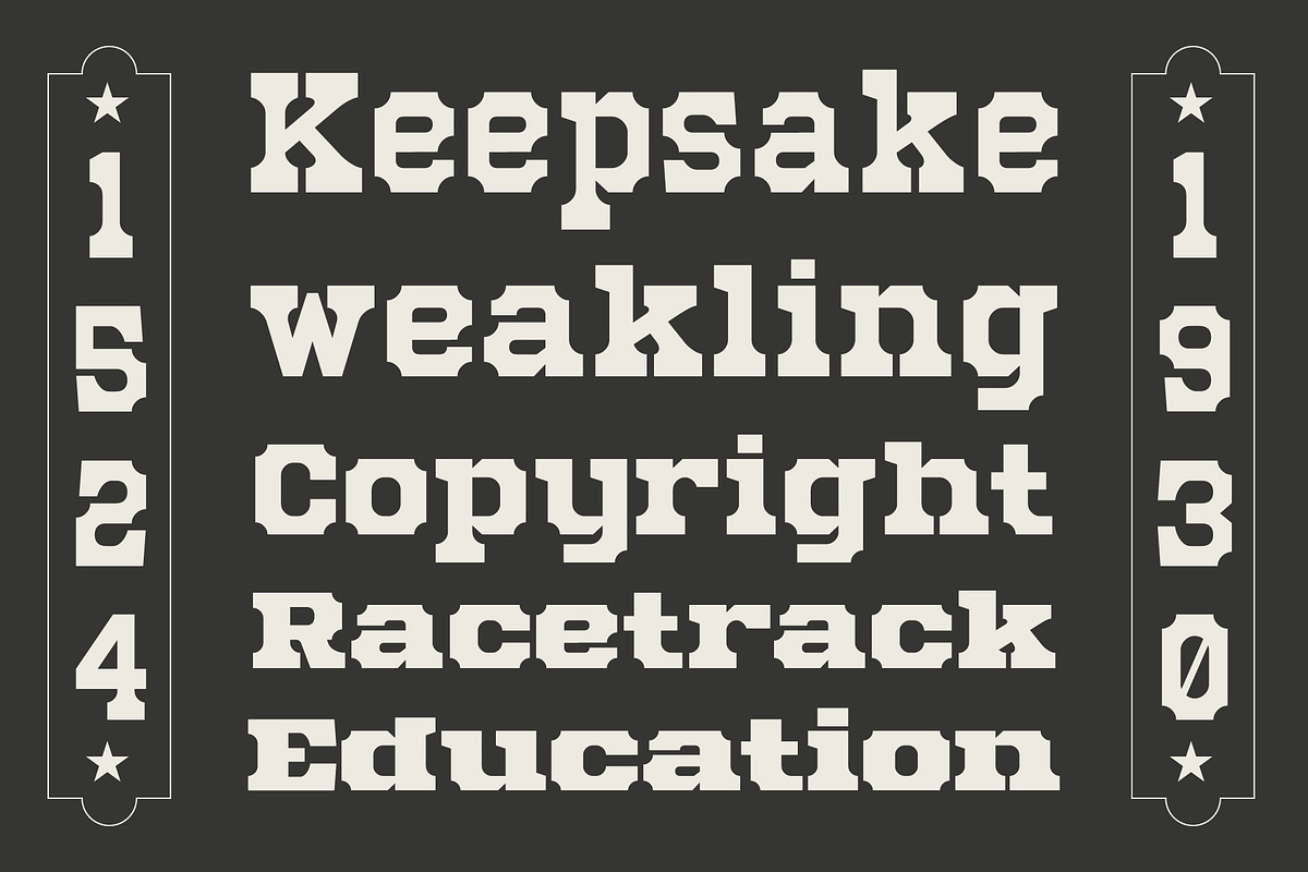 Mechwerk – Slab Serif Family, a Slab Serif Font by Invasi Studio (Photo 7 of 13)