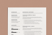Resume/CV Template, a Resume Template by UX-group (Thumbnail 5 of 7)