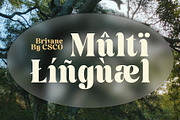 Brivane – Bold Font, a Serif Font by Craft Supply Co. (Thumbnail 7 of 8)