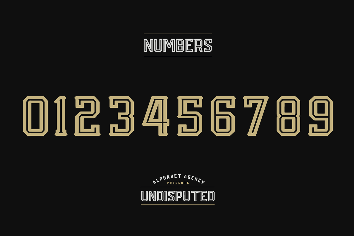 UNDISPUTED FONT DUO, a Serif Font by Alphabet Agency (Photo 5 of 9)