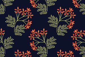 Delonix regia pattern