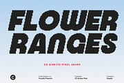 CS Qinetic Pixel, a Sans Serif Font by Craft Supply Co. (Thumbnail 2 of 8)