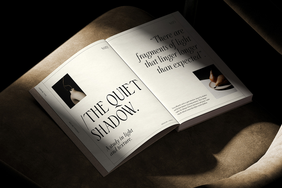 Aveline, Soft Serif with Ligatures, a Serif Font by CarmineType (Photo 28 of 28)