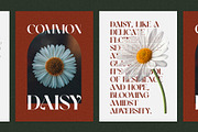 Walker Elegant Serif Font, a Serif Font by Graphicxell (Thumbnail 7 of 10)