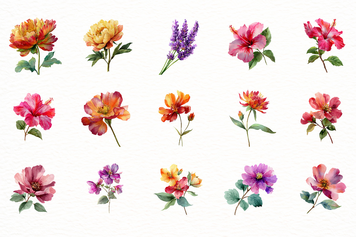 Watercolor Floral Summer Clipart, an Illustration by Designworld (Photo 6 of 6)
