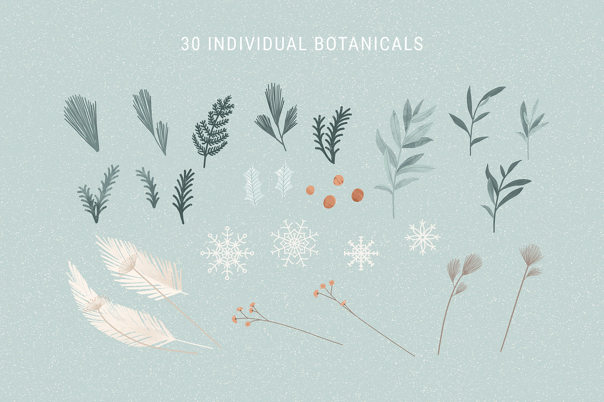 Arctic Animal, Botanical & Landscape, an Animal Illustration by imajineko (Photo 8 of 11)