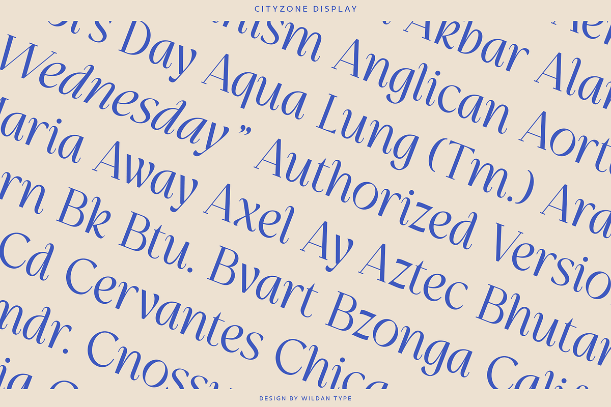 Cityzone, a Serif Font by Wildan Type (Photo 4 of 9)
