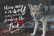 LovelyChaos Rough Brush Script, a Script Font by DoubleZ Studio (Thumbnail 6 of 11)