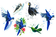 Tropical Birds, Watercolor painting, an Animal Illustration by Hanna Hryharenka (Thumbnail 8 of 13)
