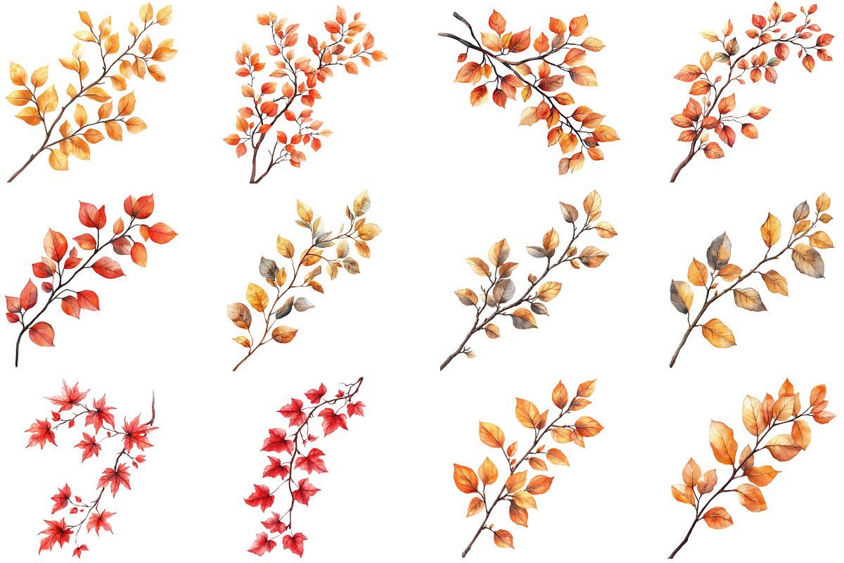 Botanical Fall Branches Clipart, an Illustration by Pixels.Craft (Photo 5 of 5)